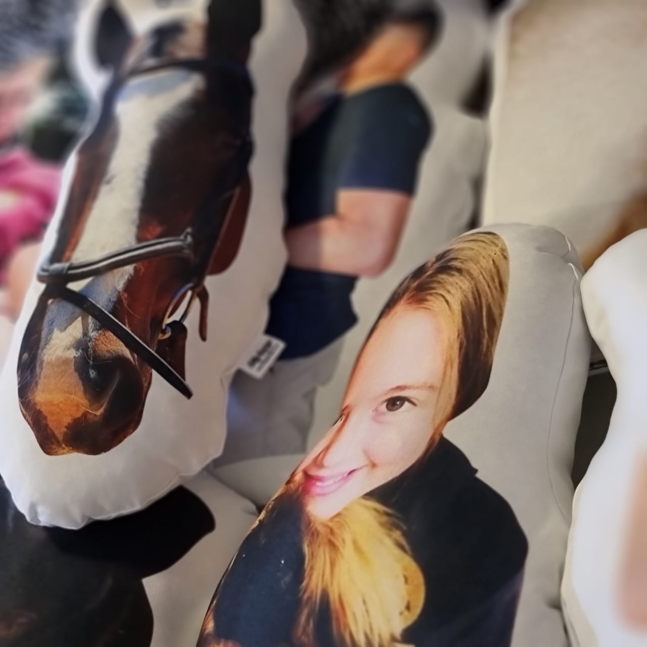 Silly George custom cut out photo pillows
