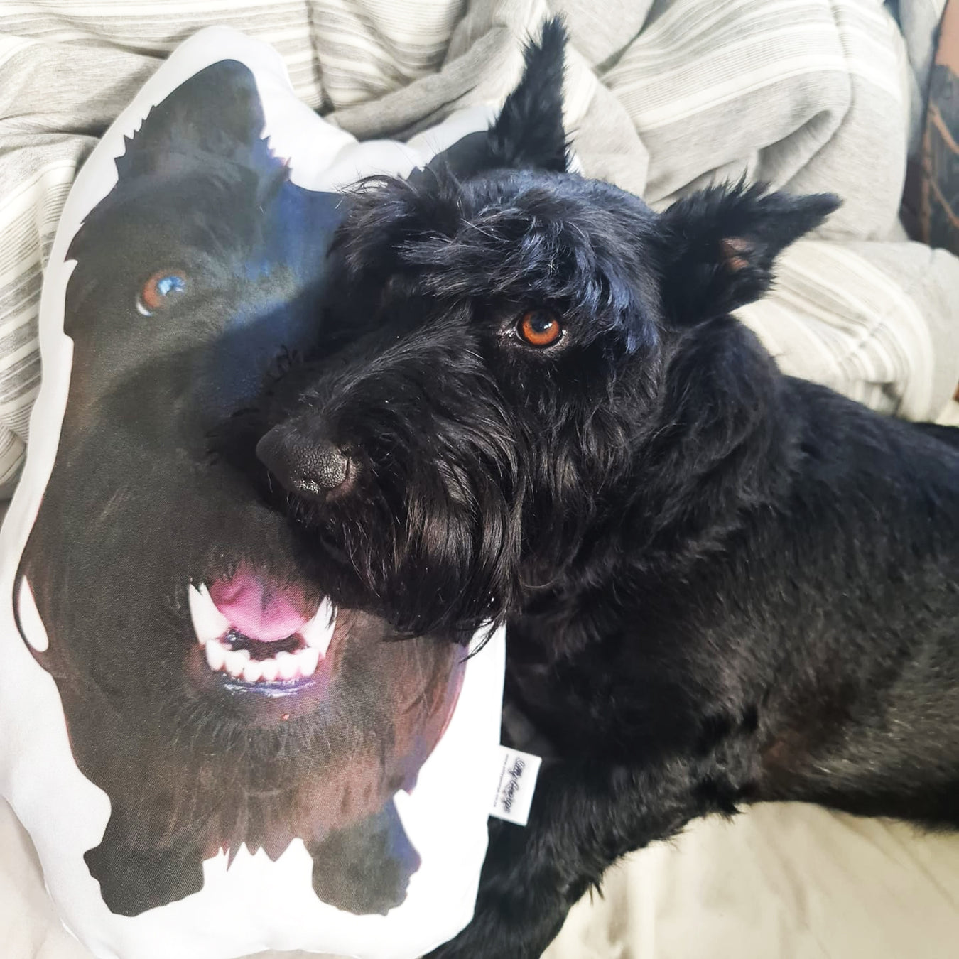 Silly George cut out custom pillows